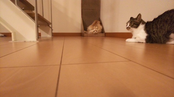 うらぁ~~!!_c0259945_10324688.jpg