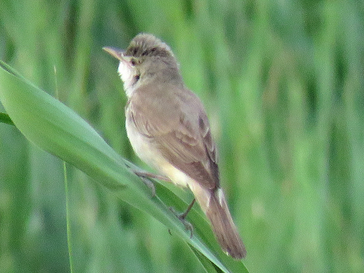 f0214649_03143128.jpg