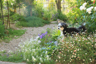 c0145250_08255998.gif
