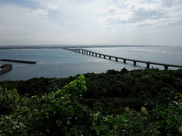 d0048350_15535909.jpg
