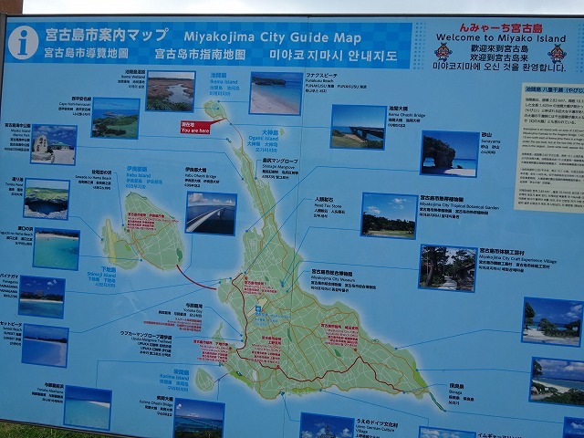 d0048350_15562235.jpg