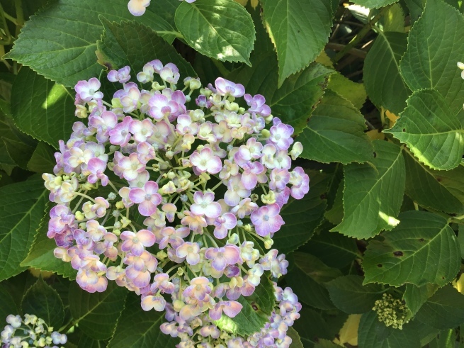 GW頑張ったご褒美に、福岡の旅。_f0337851_10315074.jpeg