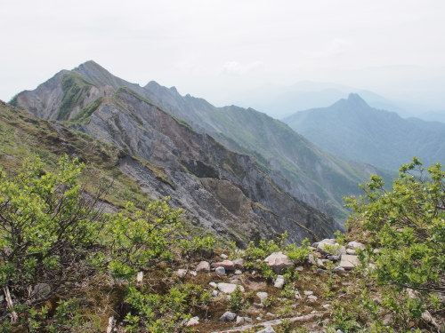 b0335256_17311755.jpg