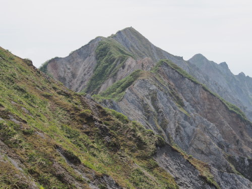 b0335256_17333438.jpg
