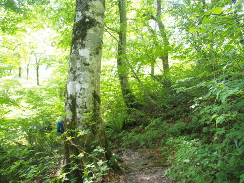 b0335256_17473921.jpg