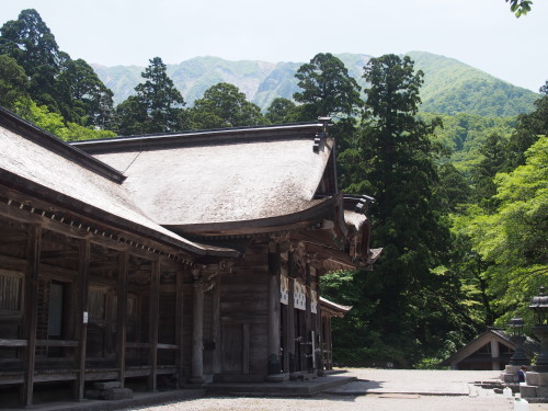 b0335256_17483941.jpg