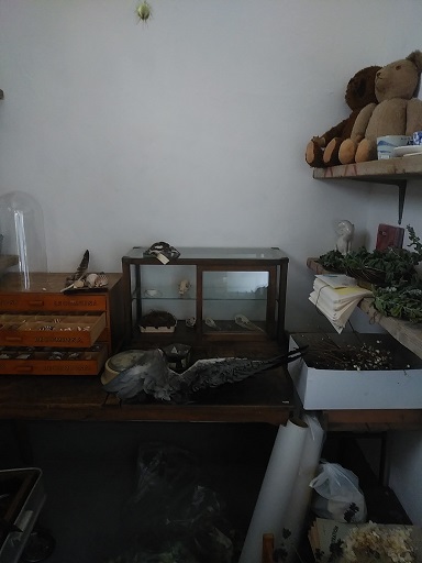 c0172261_10024064.jpg