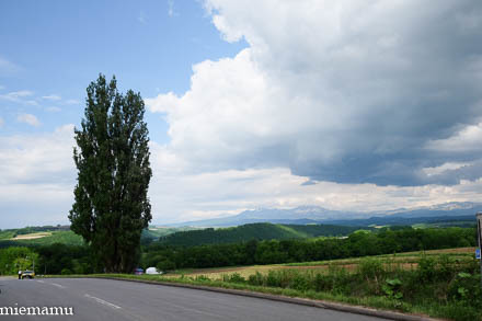 d0340565_19545218.jpg