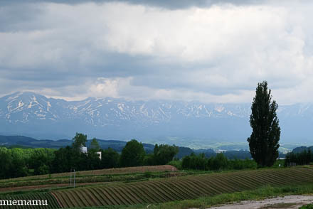 d0340565_19545831.jpg