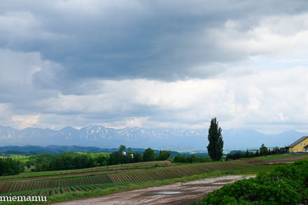 d0340565_19550476.jpg
