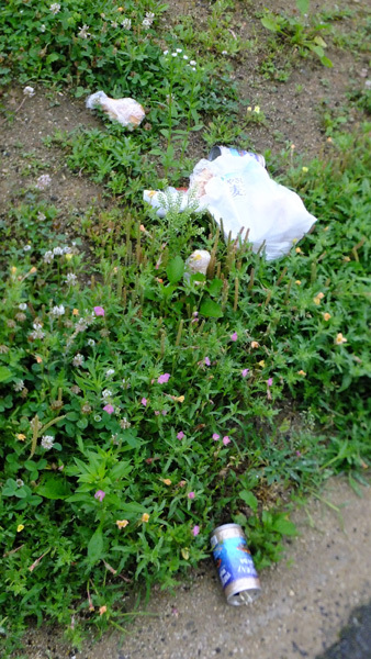 f0260167_10200209.jpg