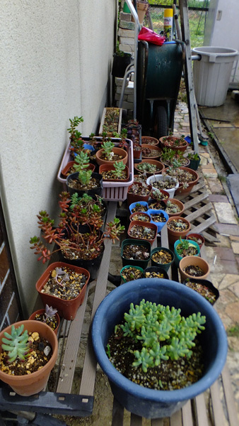 f0260167_10212380.jpg