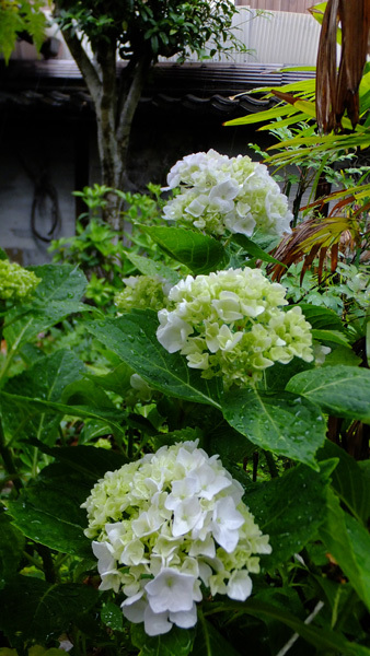 f0260167_10221614.jpg