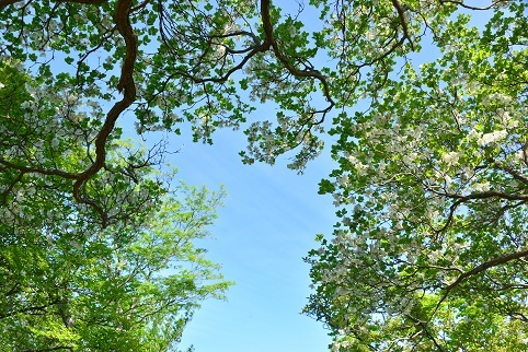 c0303868_04361092.jpg
