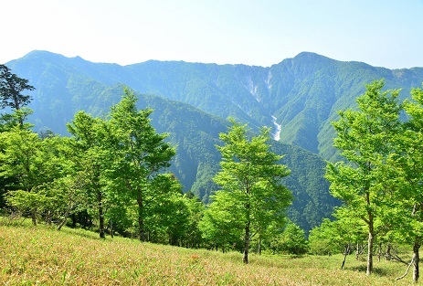 c0303868_04373156.jpg