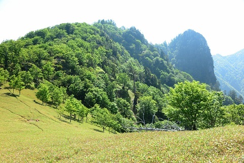 c0303868_04382241.jpg