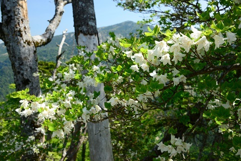 c0303868_04393279.jpg