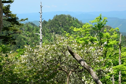 c0303868_04410662.jpg