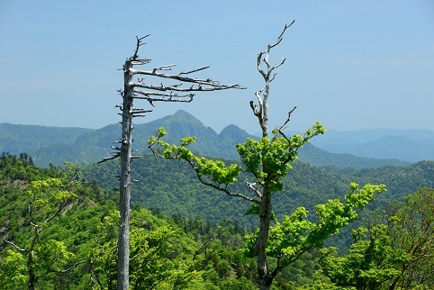 c0303868_04415924.jpg