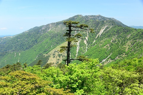 c0303868_04422692.jpg