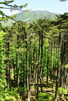 c0303868_04424602.jpg