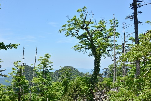 c0303868_04443480.jpg