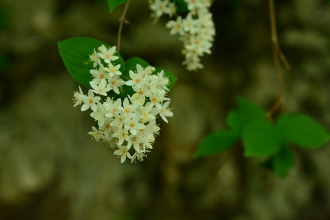 c0303868_04472137.jpg
