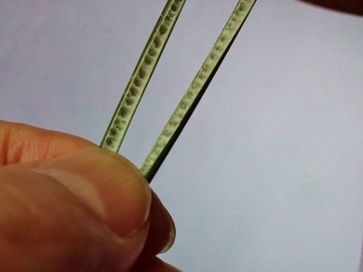f0367170_18381325.jpg