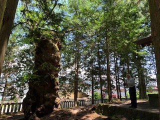 プチ 長野~新潟旅行_e0040673_08564293.jpg