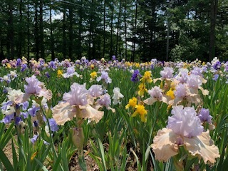プチ 長野~新潟旅行_e0040673_14421717.jpg
