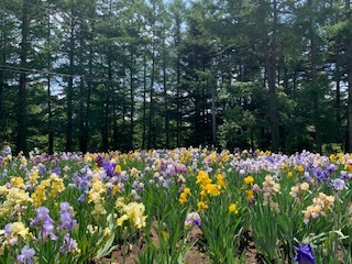 プチ 長野~新潟旅行_e0040673_14421726.jpg