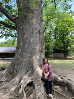 プチ 長野~新潟旅行_e0040673_14421803.jpg