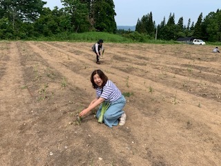 プチ旅行 長野~新潟_e0040673_17383407.jpg