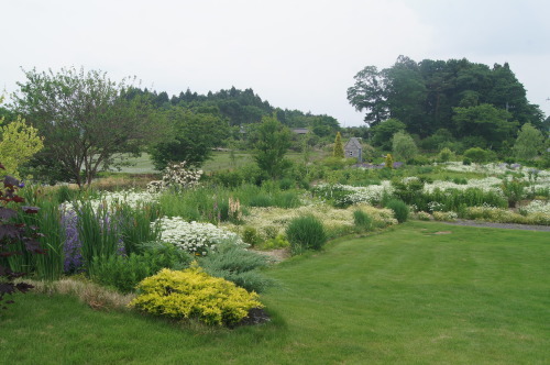 e0181373_20455510.jpg