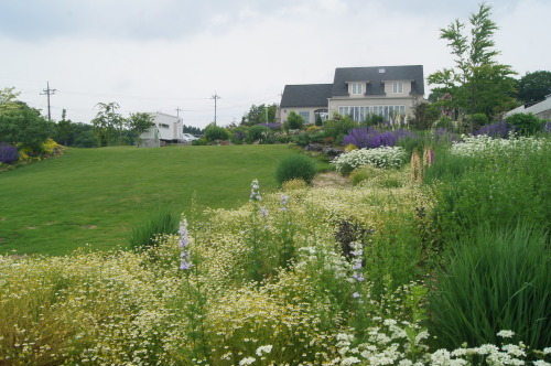 e0181373_20461091.jpg
