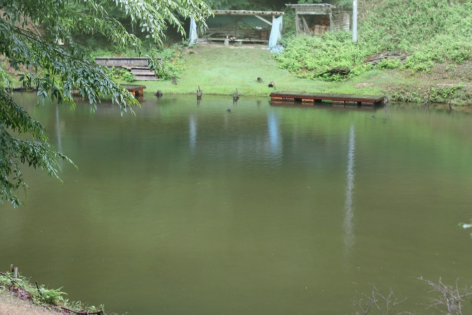 b0365177_16031679.jpg