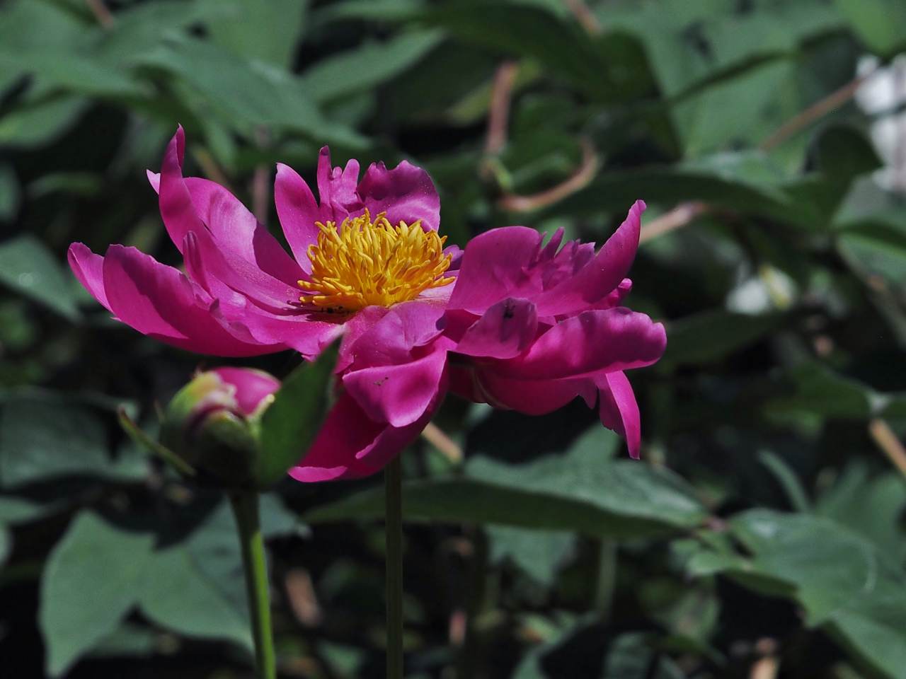 c0183777_55734.jpg