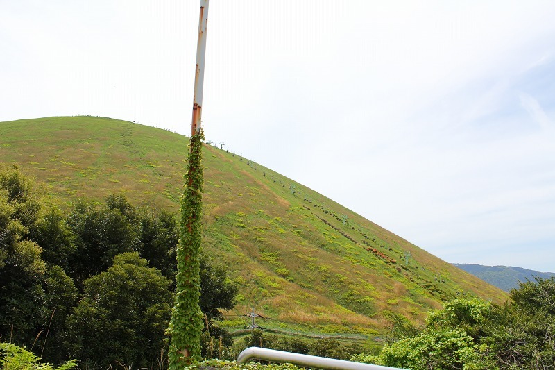 e0374581_15372142.jpg