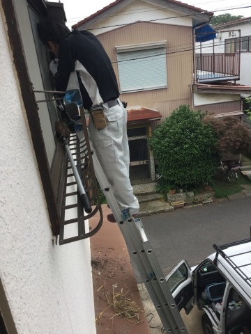 ムクドリ大家族との生活_e0105782_21240674.jpeg