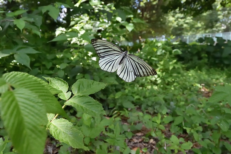 f0031682_10481611.jpg