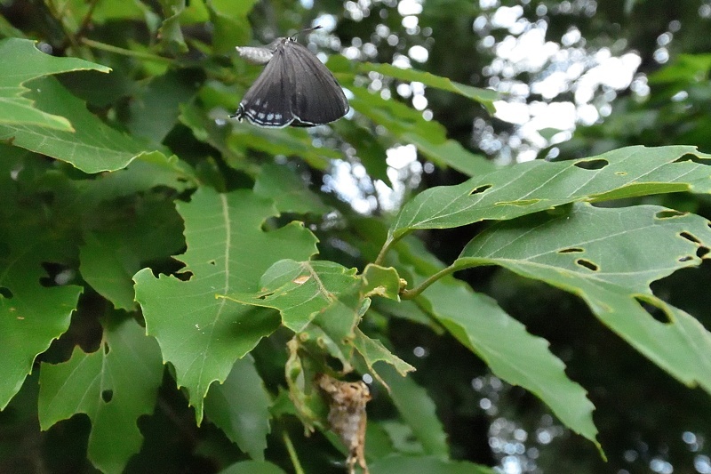 f0031682_10481622.jpg
