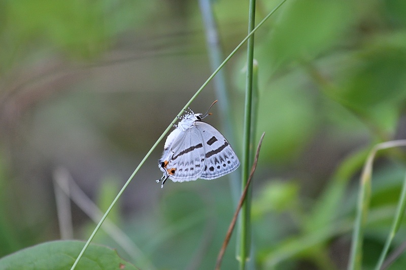 f0031682_10482044.jpg