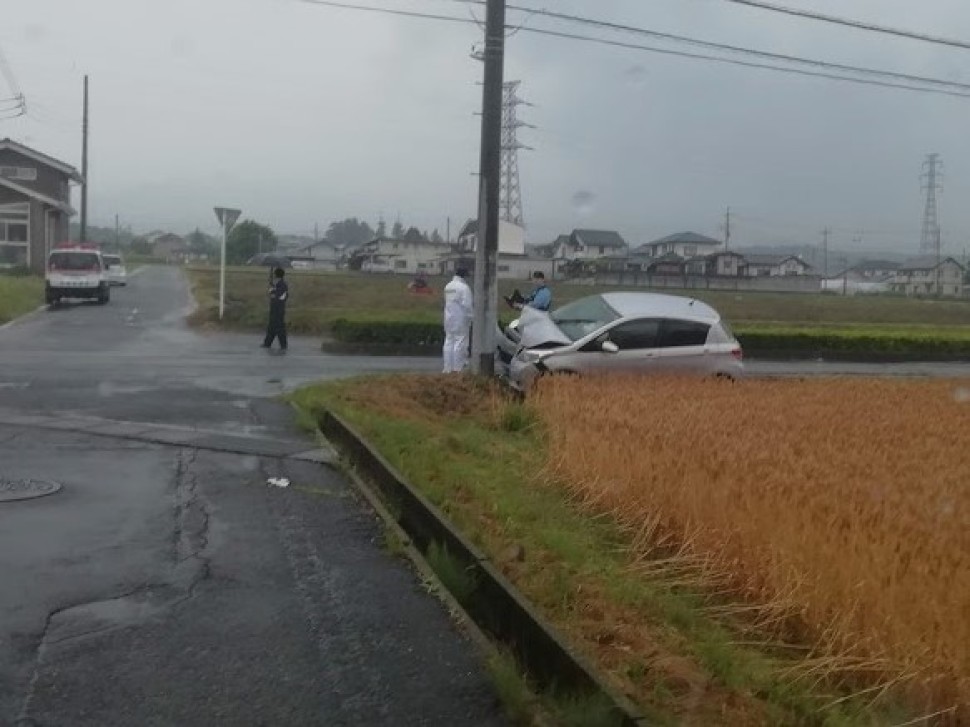 雨の一日_c0212083_15502118.jpg