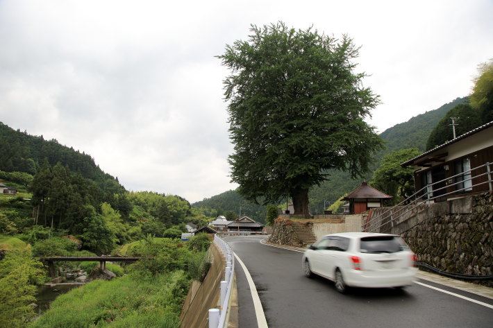 c0358784_23502449.jpg