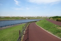 d0183387_23472647.jpg