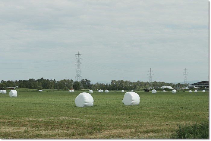 f0146493_16344569.jpg