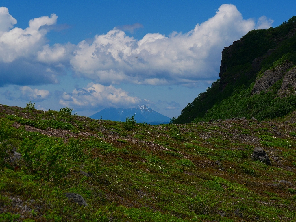 花の樽前山、2019.6.6_f0138096_00165966.jpg