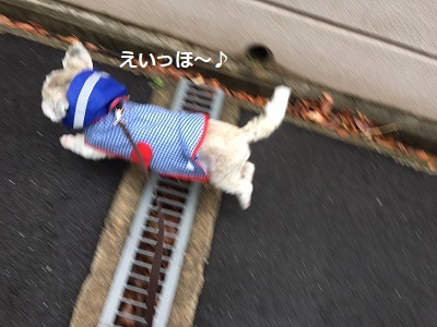 f0372998_18482736.jpg