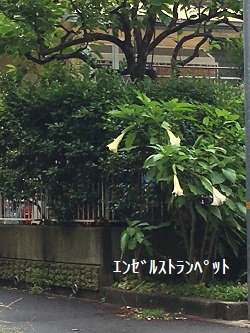 f0372998_18483769.jpg