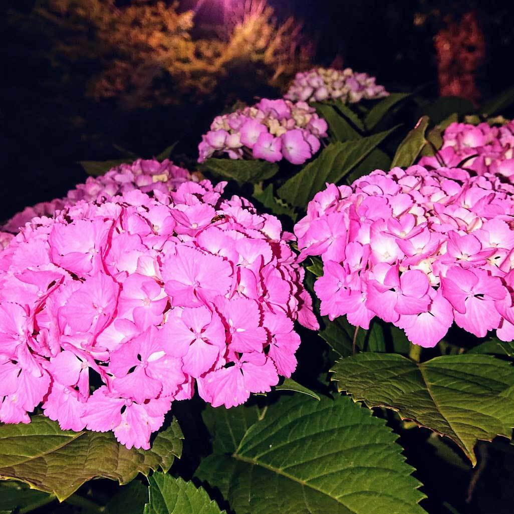 e0412402_22361873.jpg